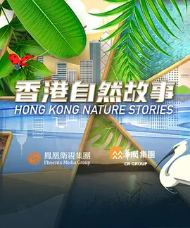 日韩亲嘴合集